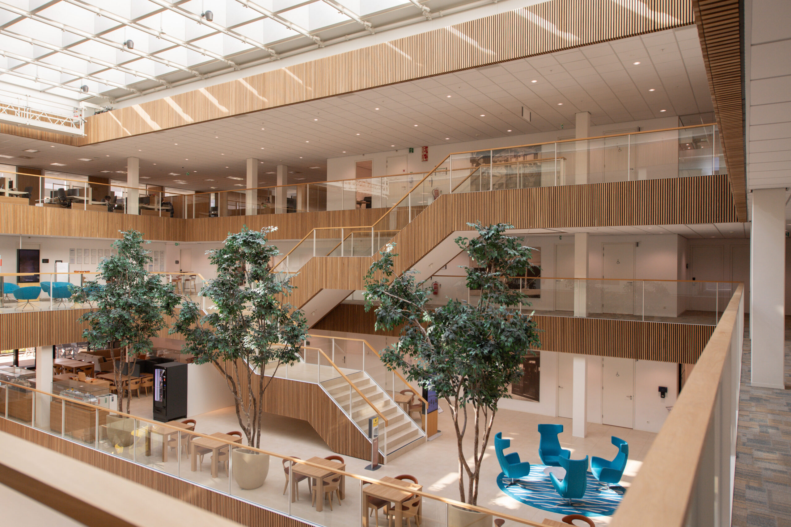 Light-filled multi-storey atrium with wooden staircases, indoor trees and blue lounge seating